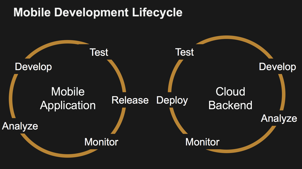 Adoption and Implementation